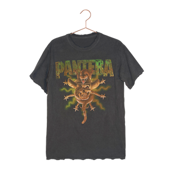 Pantera - Snake and Skull