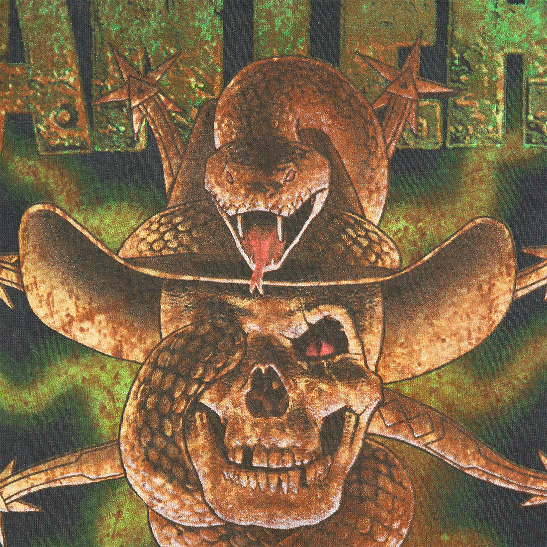 Pantera - Snake and Skull